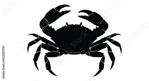 A striking black silhouette of a crab with raised claws showcasing its unique form silhouette high quality professional detailed modern elegant