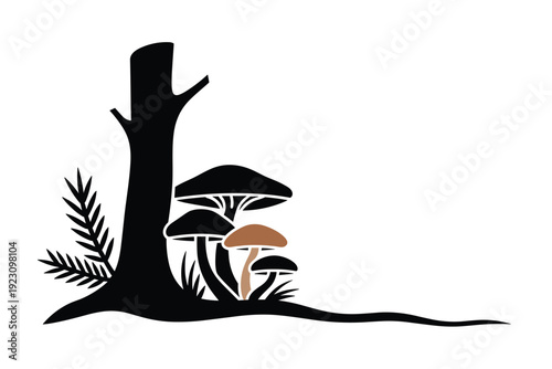 Mushrooms growing near tree stump in forest