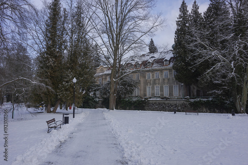 Parkowa alejka zimą. Ziemię i gałęzie drzew pokrywa warstwa śniegu. W oddali widać budynek pałacu książęcego.