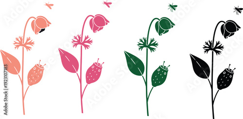 Colorful illustration of flowers and leaves in different shades on white background