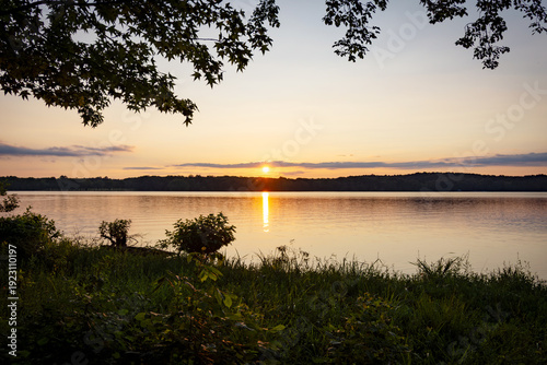 July sunset over a Western Kentucky lake, viewed through lush lakeside trees. Golden hour at Land Between the Lakes National Recreation Area.