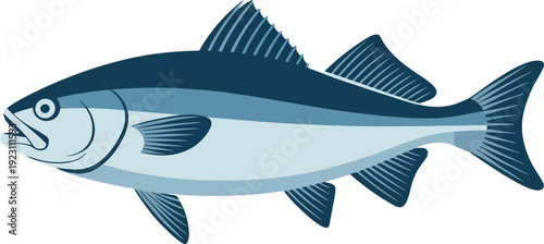 A large blue and gray fish with detailed fins and scales swimming in a side view aquatic