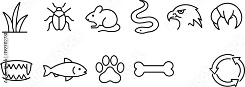 Collection of simple line icons representing animals and nature elements in a food chain