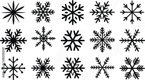 Collection of black and white snowflake with various intricate patterns and