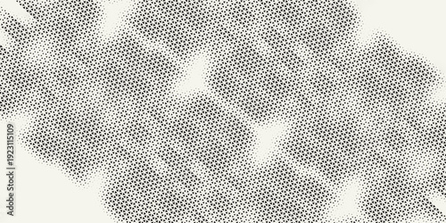 Abstract geometric black and white deco art halftone hexagone  and triangle print pattern