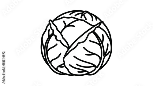 Simple black and white line art illustration of a whole round head of cabbage with textured leaves on a plain white background for food icons.