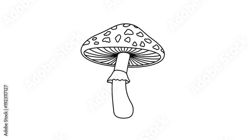 Simple black and white line art illustration of a wild mushroom with spots on its cap on a plain white background.