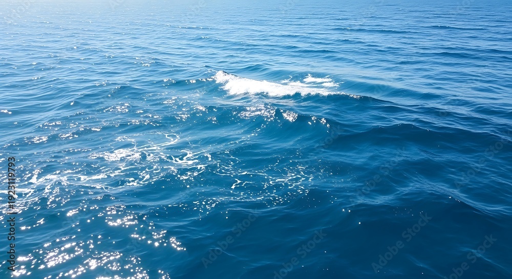 Fototapeta premium Serene Ocean Waves with Gentle Ripples.