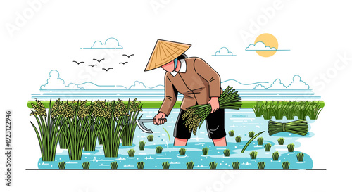 Farmer in Conical Hat Working in Rice Field 2.