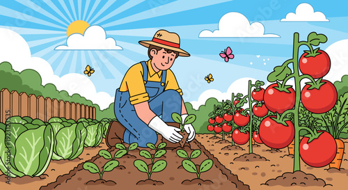 Farmer Planting Tomatoes in Vegetable Garden.