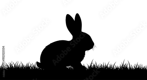 Silhouette of a rabbit in grass.