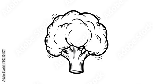 Hand Drawn Broccoli Icon - Fresh Healthy Vegetable Sketch