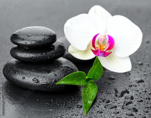 Wallpaper Mural Zen Spa Still Life with Orchid, Stones, and Bamboo. Torontodigital.ca