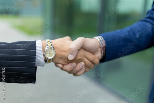 Billede på lærred Business professionals shaking hands completing successful agreement