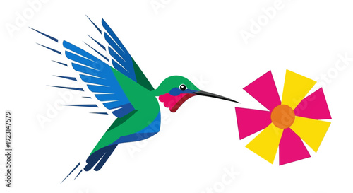 Vibrant hummingbird in flight approaching colorful flower