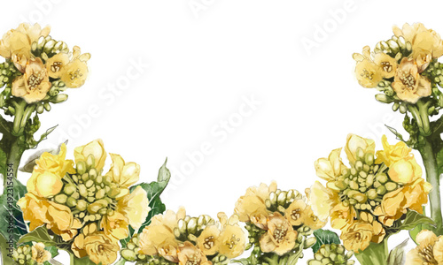 リアルタッチ（写実的）に描いた菜の花の水彩フレーム