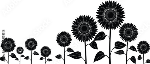 Black Silhouette of a Field of Sunflowers, Representing Nature, Summer, Agriculture, Floral Beauty, Botanical Garden, Farming, and Organic Harvest Vector Graphic