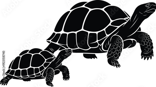 Black silhouette of adult and baby tortoise walking together, giant turtle vector illustration isolated on white background for reptile nature design logo