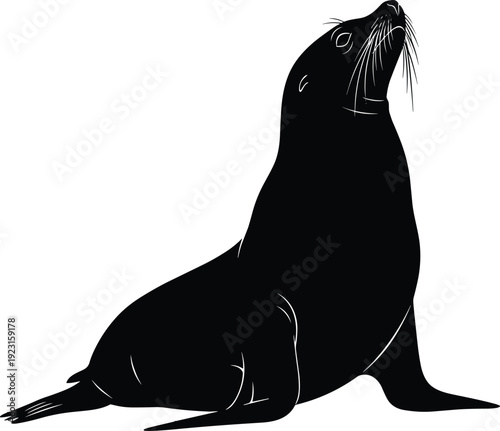 Black silhouette of cute sea lion sitting up, vector illustration isolated on white background for marine wildlife nature design logo symbol