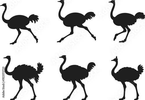 Ostrich silhouettes set featuring running and standing flightless African birds, black vector illustration isolated on light background for wildlife design