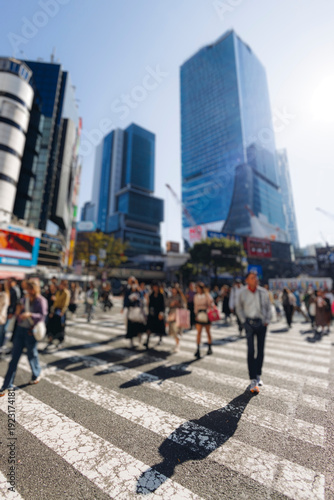 Bild auf Leinwand Shibuya Scramble Crossing, Tokyo, crowd of pedestrians and tourists walking on p