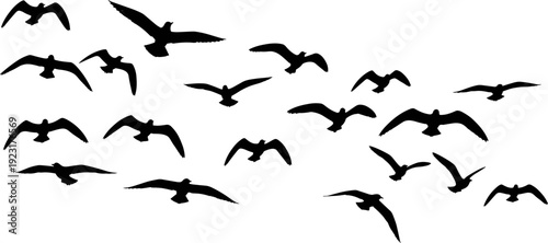 Flying birds silhouette vector illustration, flock of seagulls in motion, freedom and migration concept, wildlife nature scene, minimal black design, isolated background