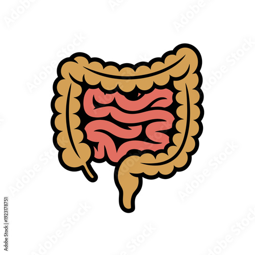 A colorful illustration of the human digestive system, specifically the intestines and colon.