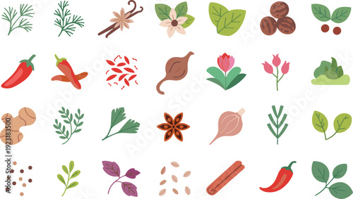Herbs spices and botanical leaves flat vector illustration collection with organic ingredients and seasonings isolated on white background