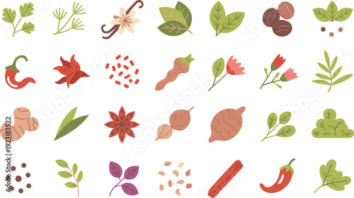 Herbs spices and vegetables flat vector illustration set with organic ingredients leaves roots and seasonings isolated on white background