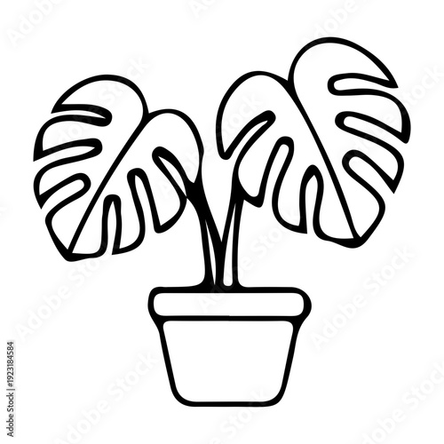 Monstera Plant Outline Icon