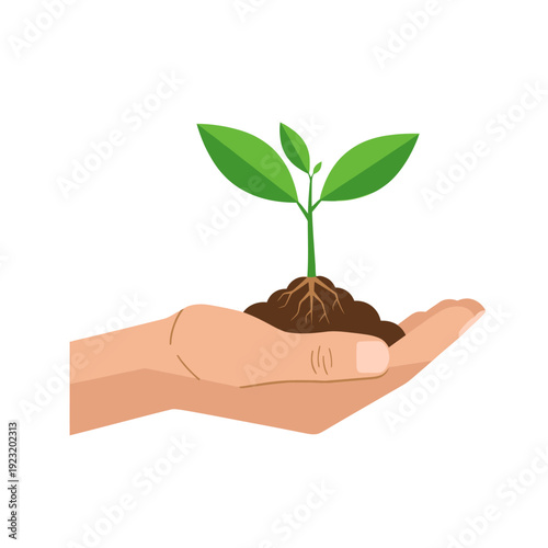 Hand holding seedling in soil, concept of growth, nature, and new beginnings