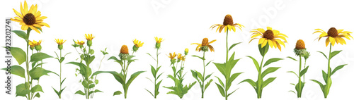 3d model of an ecological scene with various stages of growth, on a transparent background