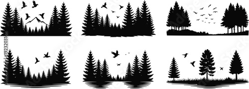 Forest pine tree silhouette landscapes, mountain woodland scenes with flying birds and lake reflections, outdoor nature black vector collection