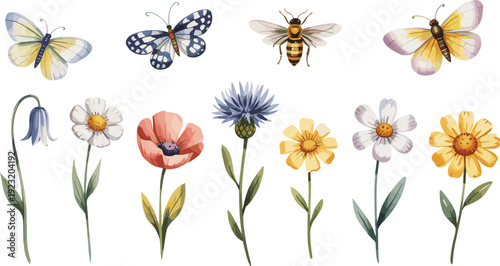 Spring wildflowers with butterflies and bee illustration, colorful botanical vector set of meadow flowers insects natural garden clipart collection