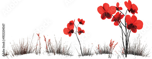 3d render of a red orchid flower and grasses, on a white background