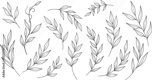 Collection of hand‑drawn leafy botanical branches, stylized vector illustration for nature, decoration, floral design, artistic plant content