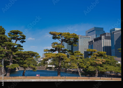皇居前広場から見た高層ビル群