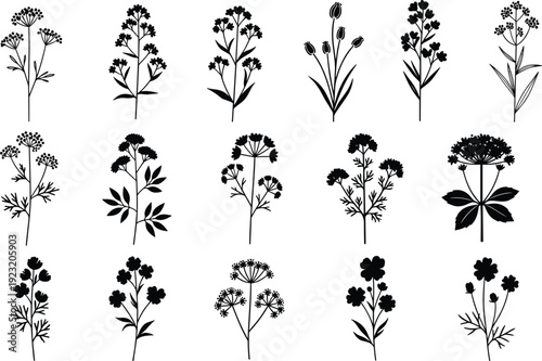 "Black silhouette vector illustrations of sixteen wildflowers, botanical plant icons arranged in grid, decorative floral graphics for design inspiration"