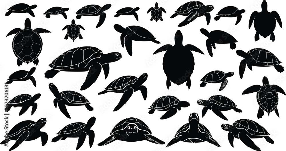 Fototapeta premium Collection of sea turtle silhouettes in swimming poses, detailed marine wildlife vector illustration for ocean, nature, education, design content