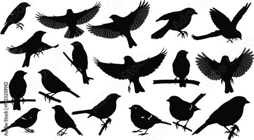 Collection of sixteen bird silhouettes in varied poses, flying and perched positions, vector illustration for ornithology, wildlife, nature design themes