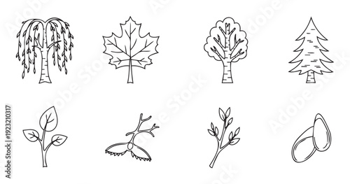 A comprehensive collection of botanical line icons featuring different tree types, leaves, branches, and seeds, ideal for educational resources, nature publications, or environmental