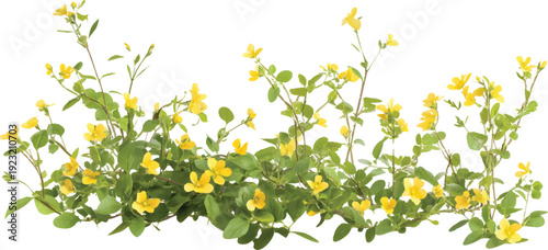 A photorealistic image of small yellow flowers and green leaves, on a transparent background