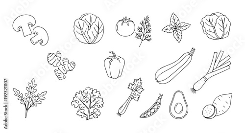 Hand Drawn Vegetable and Herb Outline Icons Collection with Mushroom Tomato Lettuce Mint and Pepper Line Vector