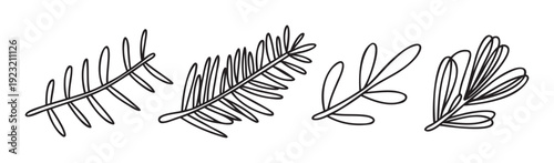 Stylized botanical outlines featuring different leaf and branch silhouettes perfect for naturalistic graphic design, organic packaging, and ecofriendly product branding materials