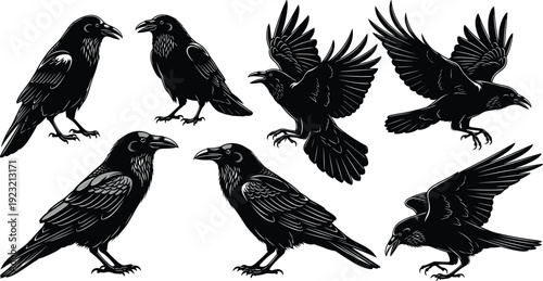 Stylized silhouettes of six ravens in varied poses, detailed feather artwork, bold black design, wildlife theme, nature illustration vector