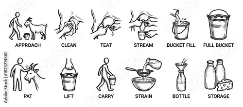 Goat milking process instruction icon set shows the step-by-step guide for dairy farming, from approaching the animal to bottling and storage, in a hand-drawn sketch style isolated on white