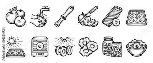 Hand-drawn icons showing the apple drying process from washing and slicing to using a dehydrator, a vintage style vector illustration set isolated on a white background