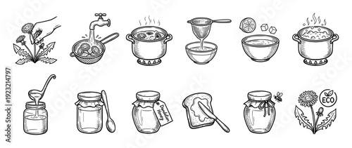Dandelion honey recipe steps icon set showing the process of making homemade vegan syrup from flowers, hand-drawn in a black and white sketch style, isolated on white background