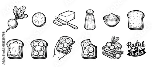 Hand drawn radish and butter sandwich ingredients and preparation steps icon set in a vintage sketch style, showing bread, salt, and vegetables isolated on white