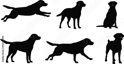 Dog silhouettes in various poses, leaping, sitting, standing, walking illustration, domestic animal icons, pet vector design elements